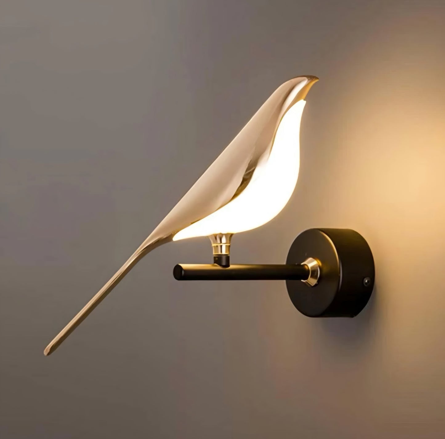 Pajaro - wall