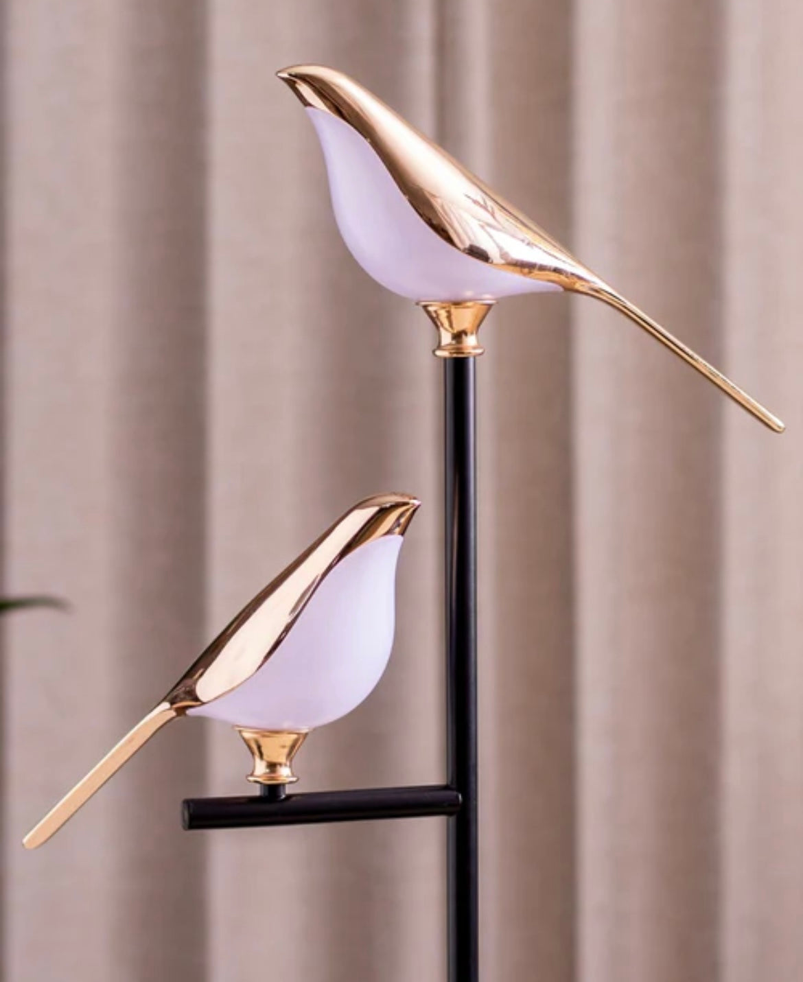 Pajaro